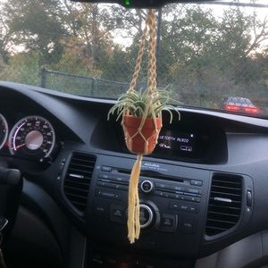 plant hanger car charms